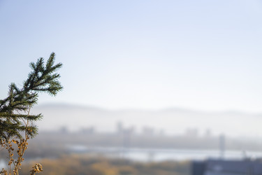 Similar image 21674775