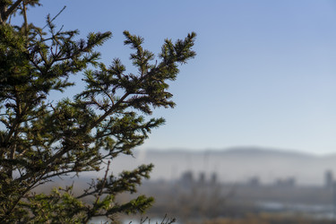 Similar image 21674779