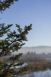 Similar image 21674781