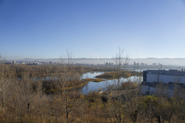 Similar image 21674784