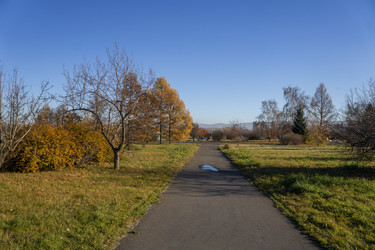 Similar image 21674787