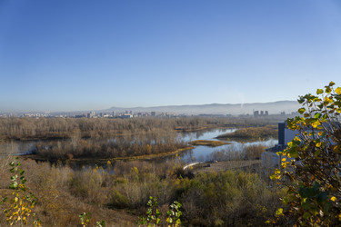 Similar image 21674799