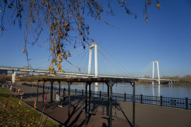 Similar image 21674804