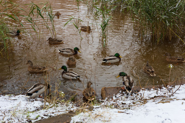 Similar image 21671752