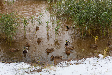 Similar image 21671753