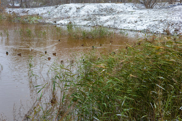 Similar image 21671754