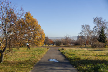 Similar image 21674815