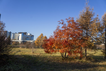 Similar image 21674820