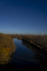 Similar image 21674828