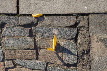 Similar image 21674832