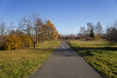 Similar image 21674835