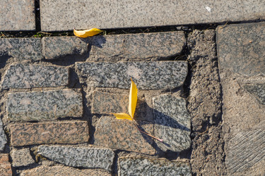 Similar image 21674838