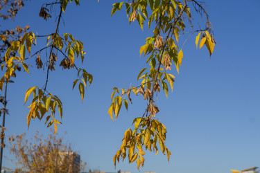 Similar image 21674842