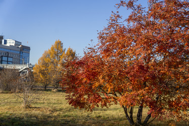 Similar image 21674847