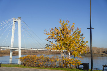 Similar image 21674929