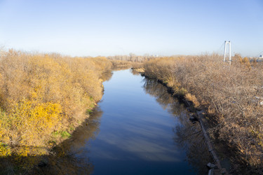 Similar image 21674937