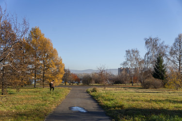 Similar image 21674949