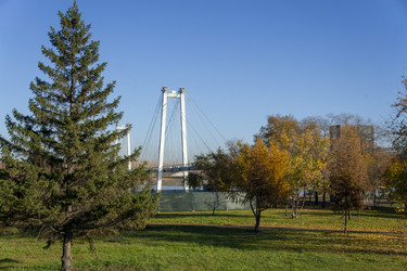 Similar image 21674952