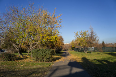 Similar image 21674954