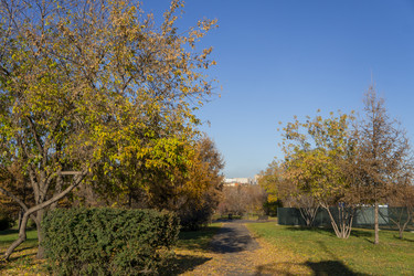 Similar image 21674955