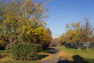 Similar image 21674956