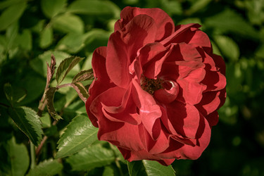 Similar image 21673262