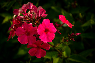 Similar image 21673263