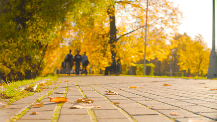 Similar image 21671943