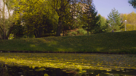 Similar image 21671946