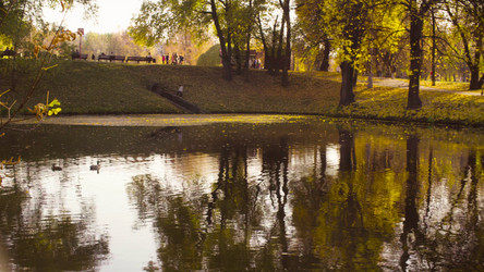 Similar image 21671948