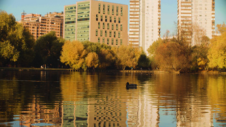 Similar image 21671951