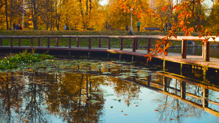 Similar image 21671952