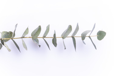 Similar image 21674524