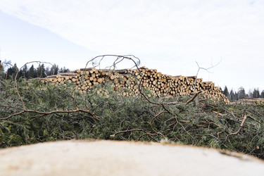 Similar image 21674525