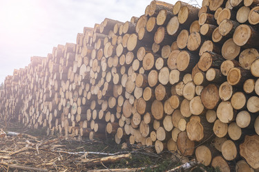 Similar image 21674529