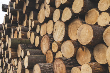 Similar image 21674531