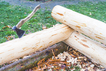 Similar image 21674535