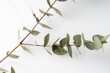 Similar image 21674537