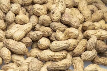 Similar image 21674566