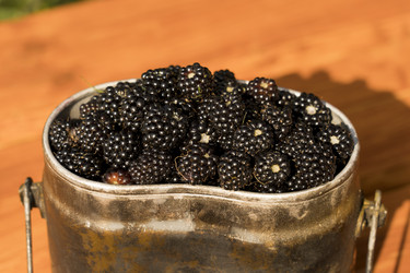 Similar image 21674569