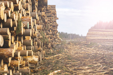 Similar image 21674571