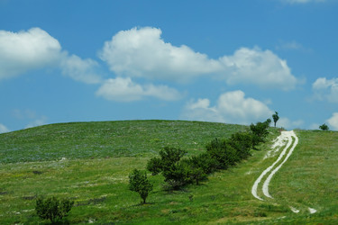 Similar image 21678624