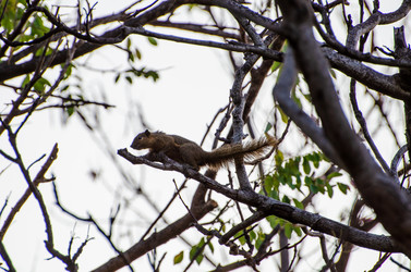 Similar image 21673504