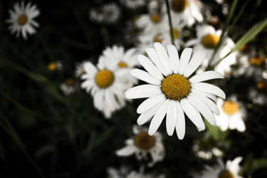 Similar image 21673264