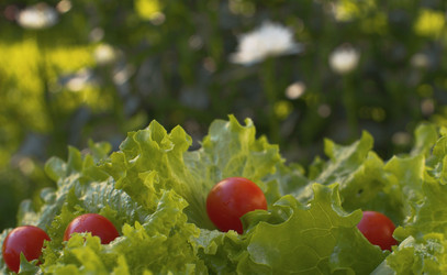 Similar image 21671774