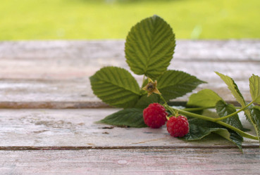 Similar image 21671780