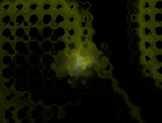 Similar image 21676469