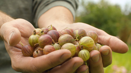 Similar image 21672114