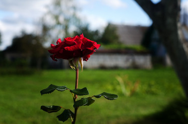 Similar image 21673244