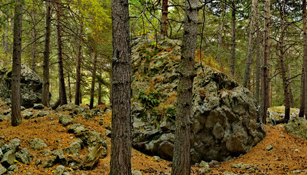 Similar image 21675413